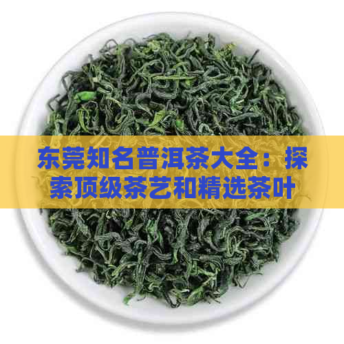 东莞知名普洱茶大全：探索顶级茶艺和精选茶叶