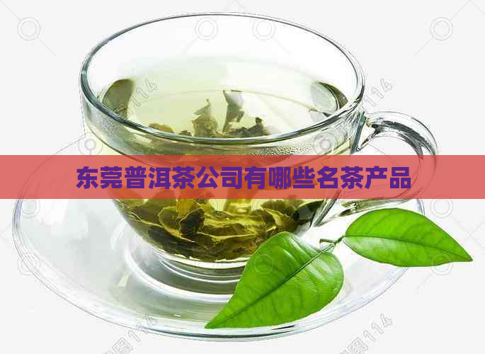 东莞普洱茶公司有哪些名茶产品