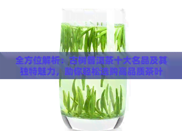 全方位解析：古树普洱茶十大名品及其独特魅力，助你轻松选购高品质茶叶