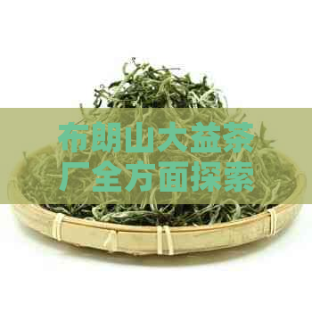 布朗山大益茶厂全方面探索指南