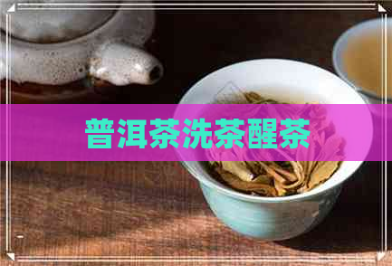 普洱茶洗茶醒茶