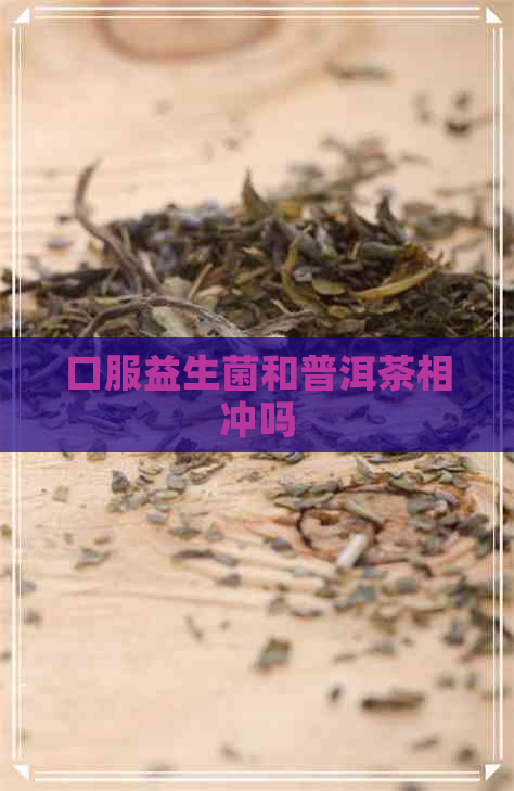 口服益生菌和普洱茶相冲吗