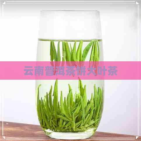 云南普洱茶饼大叶茶