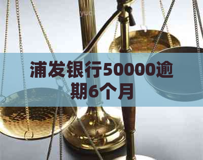 浦发银行50000逾期6个月