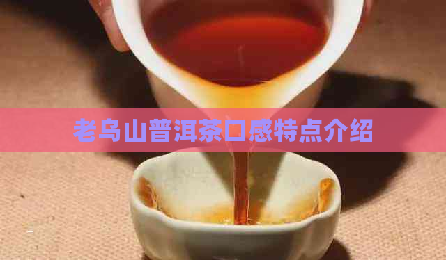 老乌山普洱茶口感特点介绍