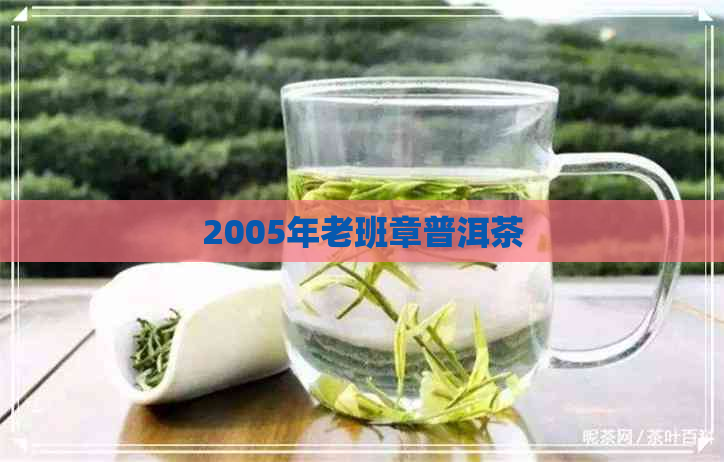 2005年老班章普洱茶