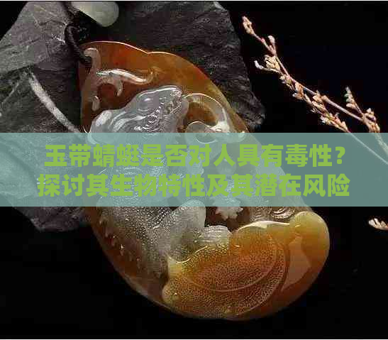 玉带蜻蜓是否对人具有性？探讨其生物特性及其潜在风险