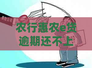 农行惠农e贷逾期还不上怎么办处理方式