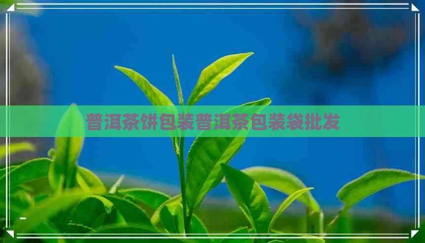 普洱茶饼包装普洱茶包装袋批发