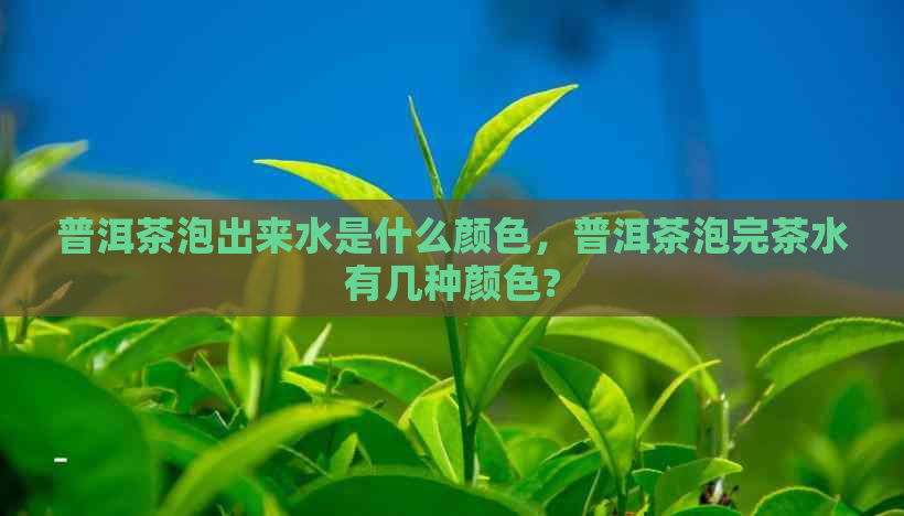 普洱茶泡出来水是什么颜色，普洱茶泡完茶水有几种颜色?