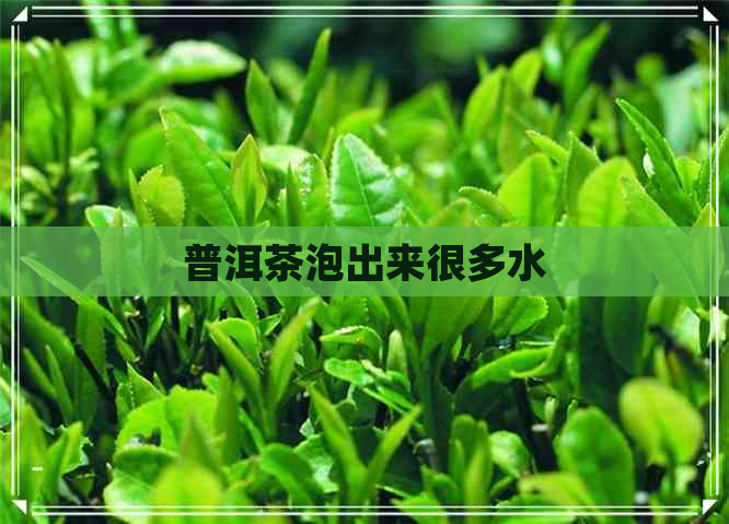 普洱茶泡出来很多水