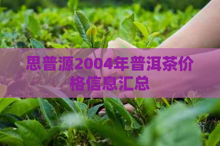 思普源2004年普洱茶价格信息汇总