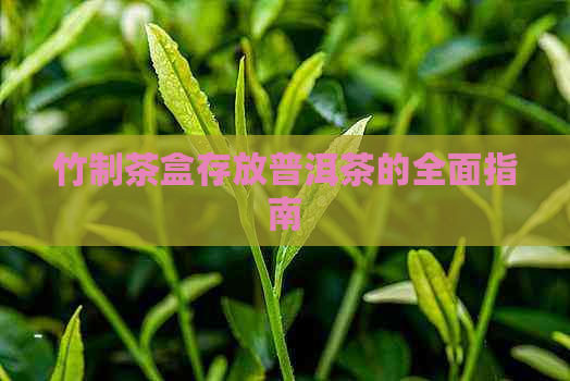 竹制茶盒存放普洱茶的全面指南