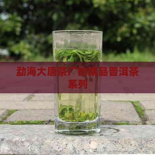 勐海大唐茶厂的精品普洱茶系列