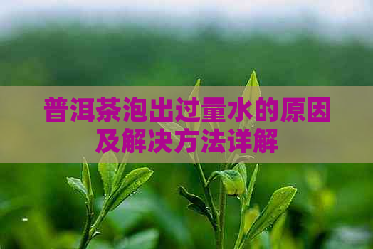 普洱茶泡出过量水的原因及解决方法详解