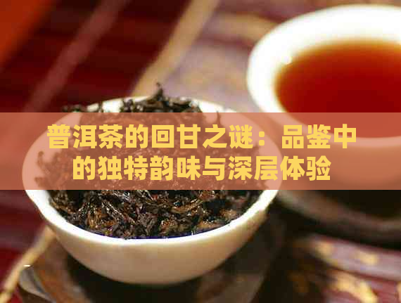 普洱茶的回甘之谜：品鉴中的独特韵味与深层体验