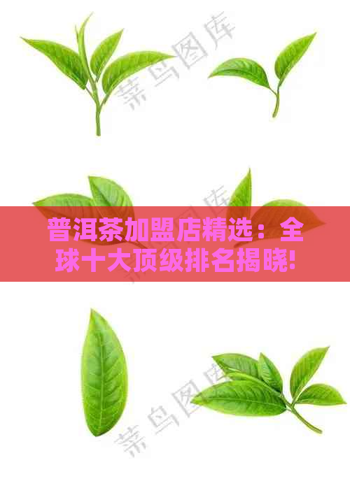 普洱茶加盟店精选：全球十大顶级排名揭晓!