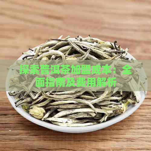 探索普洱茶加盟成本：全面指南及费用解析