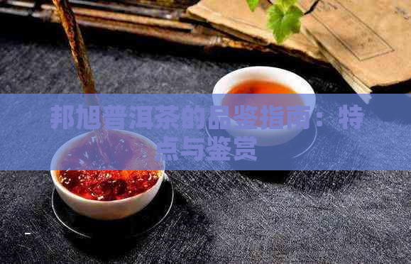 邦旭普洱茶的品鉴指南：特点与鉴赏