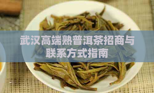 武汉高端熟普洱茶招商与联系方式指南