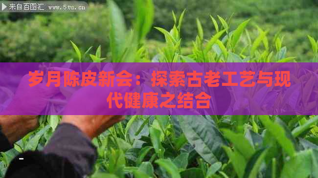 岁月陈皮新会：探索古老工艺与现代健康之结合