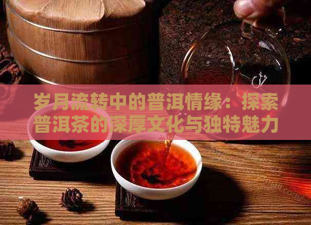 岁月流转中的普洱情缘：探索普洱茶的深厚文化与独特魅力