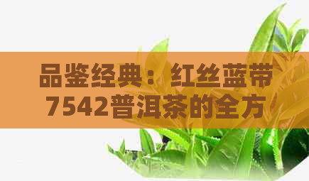 品鉴经典：红丝蓝带7542普洱茶的全方位指南