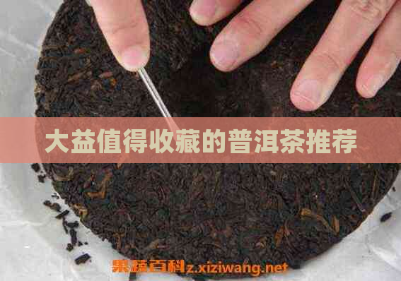 大益值得收藏的普洱茶推荐