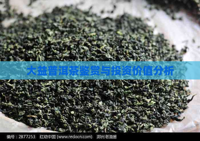 大益普洱茶鉴赏与投资价值分析