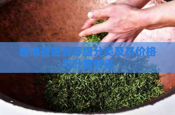 普洱茶茶青等级分类及其价格与叶底特征