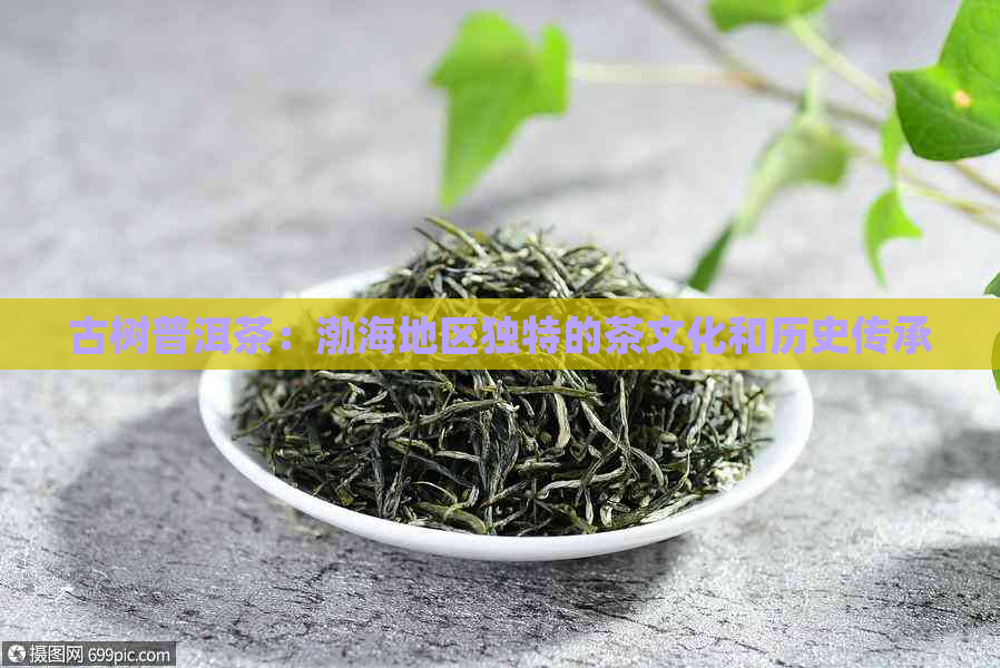 古树普洱茶：渤海地区独特的茶文化和历史传承