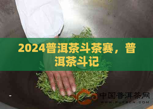 2024普洱茶斗茶赛，普洱茶斗记