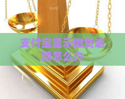 支付宝显示微贷逾期怎么办