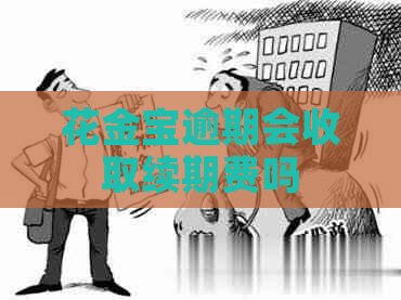 花金宝逾期会收取续期费吗