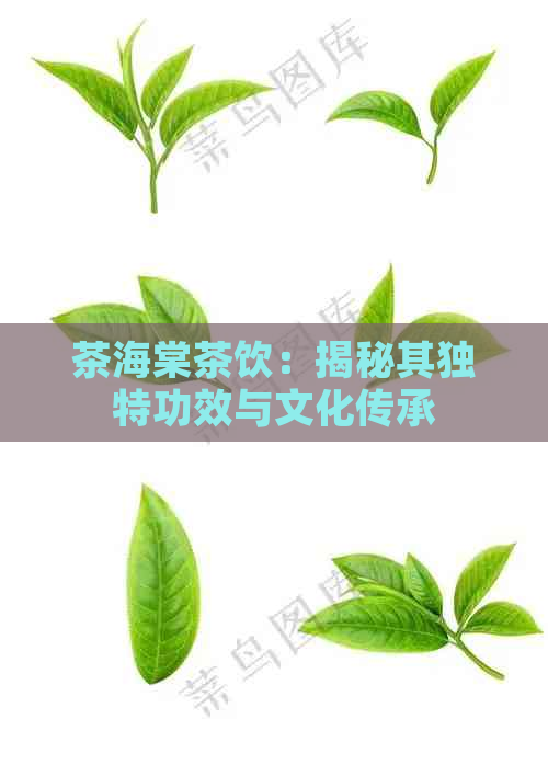 茶海棠茶饮：揭秘其独特功效与文化传承