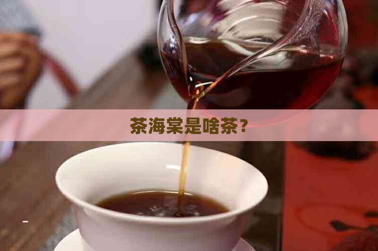 茶海棠是啥茶？