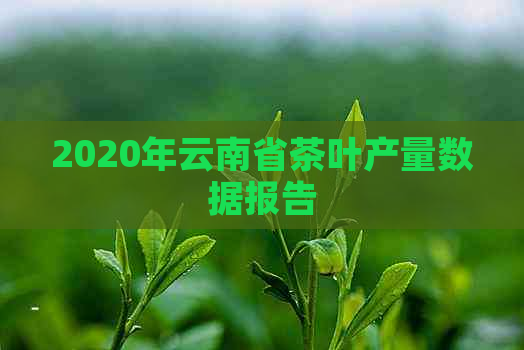 2020年云南省茶叶产量数据报告