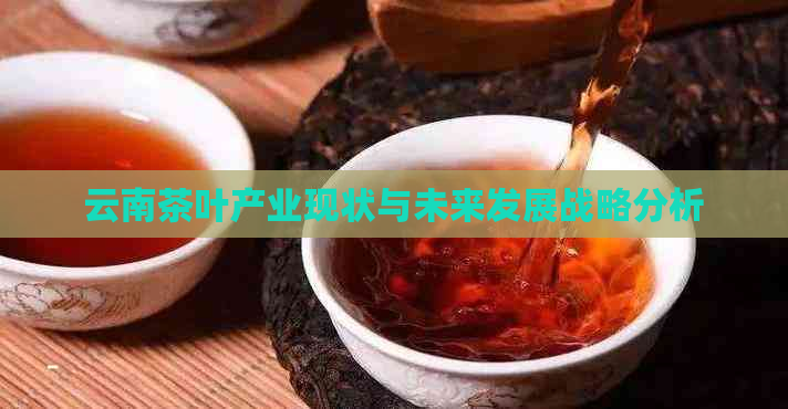 云南茶叶产业现状与未来发展战略分析