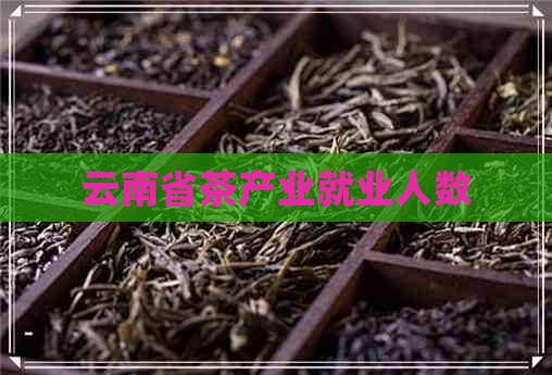 云南省茶产业就业人数