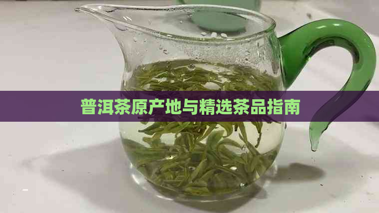 普洱茶原产地与精选茶品指南