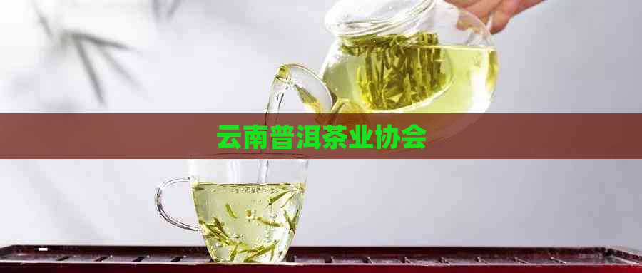 云南普洱茶业协会