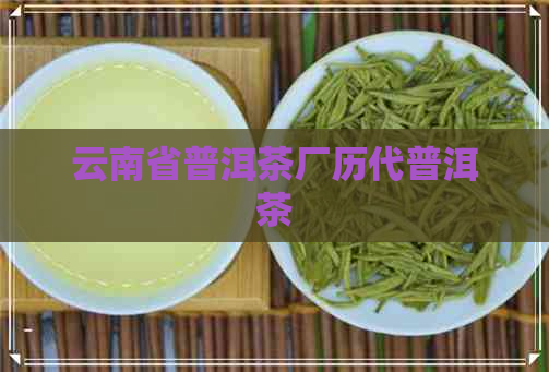 云南省普洱茶厂历代普洱茶