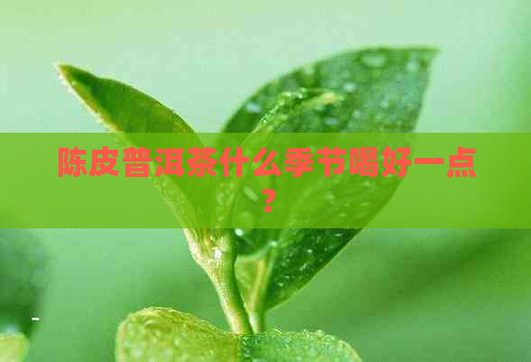 陈皮普洱茶什么季节喝好一点？