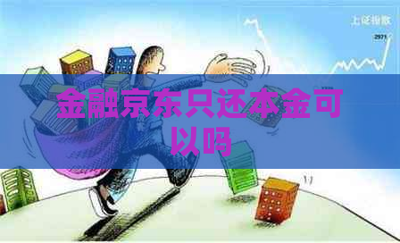 金融京东只还本金可以吗