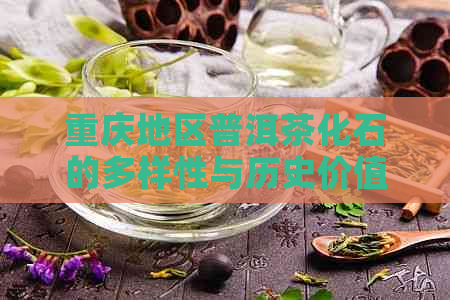 重庆地区普洱茶化石的多样性与历史价值