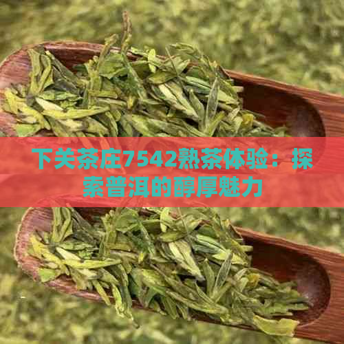 下关茶庄7542熟茶体验：探索普洱的醇厚魅力