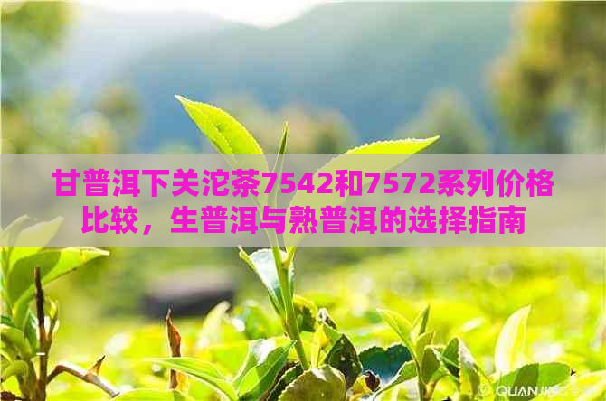 甘普洱下关沱茶7542和7572系列价格比较，生普洱与熟普洱的选择指南