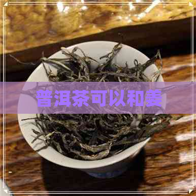 普洱茶可以和姜