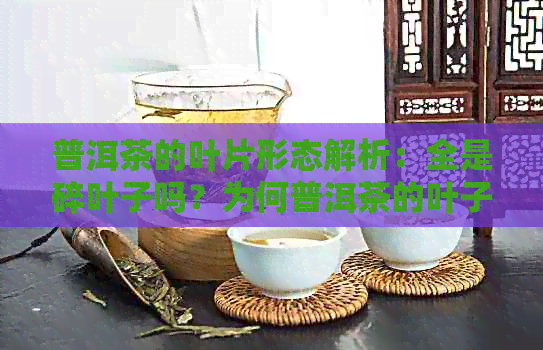 普洱茶的叶片形态解析：全是碎叶子吗？为何普洱茶的叶子形状如此特别？