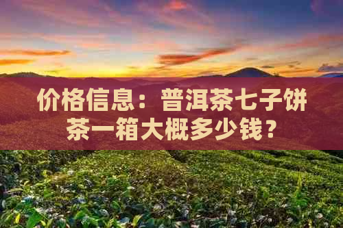 价格信息：普洱茶七子饼茶一箱大概多少钱？